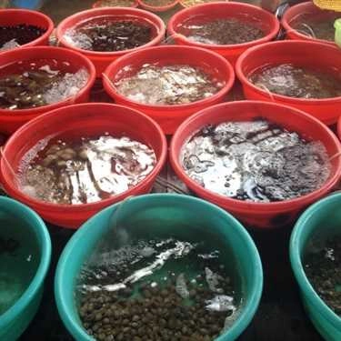 Tổng hợp- Nhà Hàng Nổi Việt Long