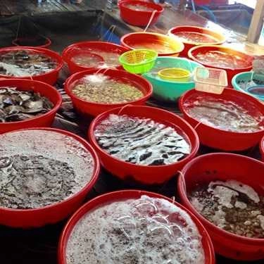 Tổng hợp- Nhà Hàng Nổi Việt Long
