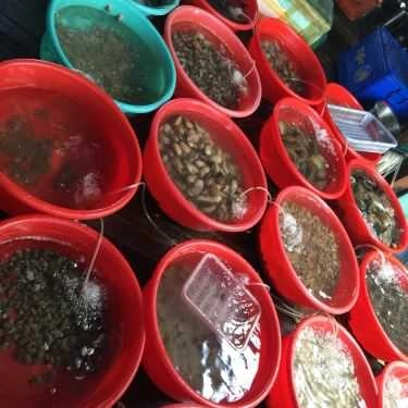 Tổng hợp- Nhà Hàng Nổi Việt Long