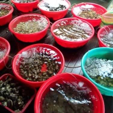 Tổng hợp- Nhà Hàng Nổi Việt Long