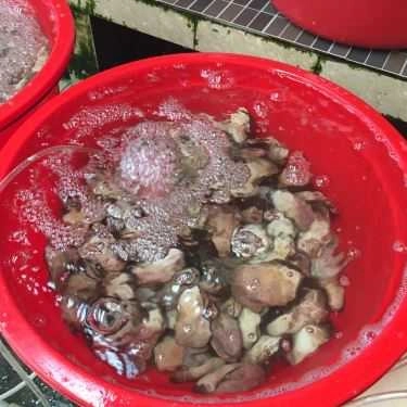 Tổng hợp- Nhà Hàng Sao Biển Bé Đen - Hải Sản Tươi Sống