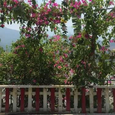 Tổng hợp- Nhà Hàng Sao Biển Bé Đen - Hải Sản Tươi Sống
