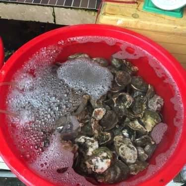 Tổng hợp- Nhà Hàng Sao Biển Bé Đen - Hải Sản Tươi Sống