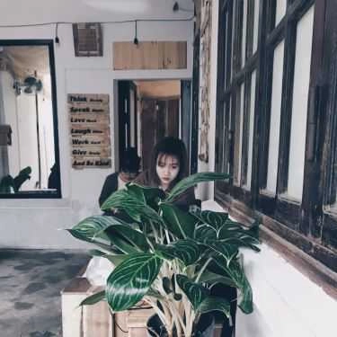 Tổng hợp- Nhà Lem Cafe