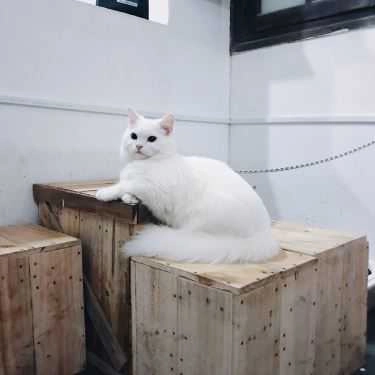 Tổng hợp- Nhà Lem Cafe