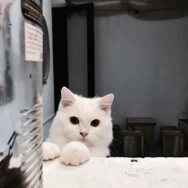 Tổng hợp- Nhà Lem Cafe