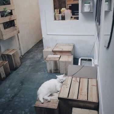 Tổng hợp- Nhà Lem Cafe