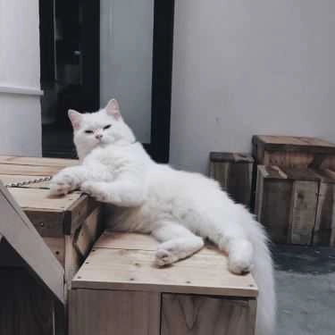 Tổng hợp- Nhà Lem Cafe