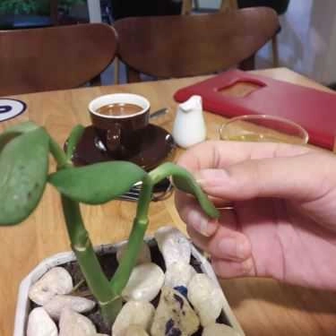 Tổng hợp- Nice Coffee & Milktea