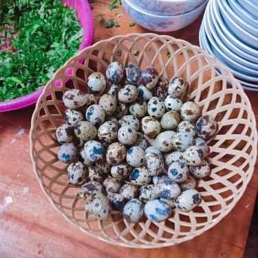 Món ăn- Ăn vặt Mino - Bánh Canh Cá Lóc