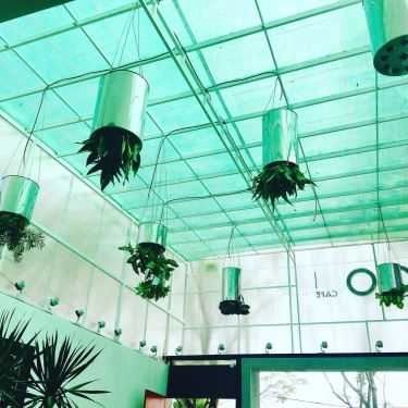 Tổng hợp- OO Cafe