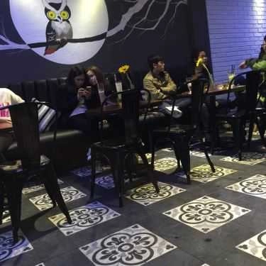 Tổng hợp- OWL Cafe