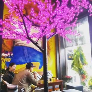Tổng hợp- OWL Cafe