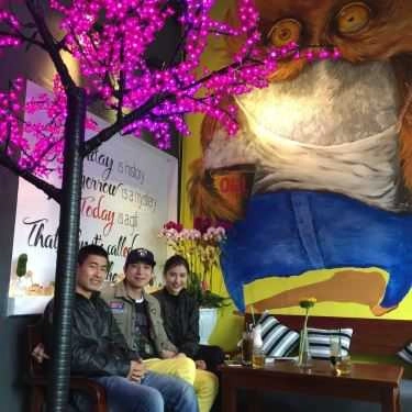 Tổng hợp- OWL Cafe