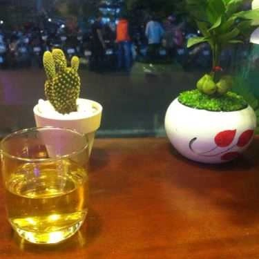 Tổng hợp- OWL Cafe