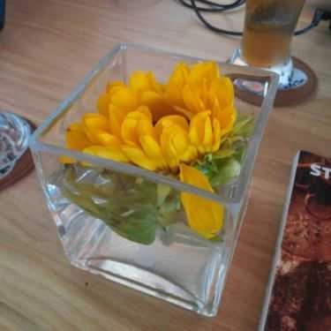 Tổng hợp- Panni Coffee