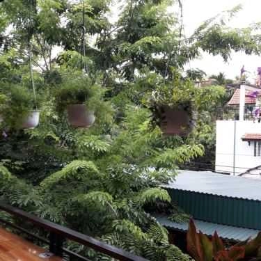 Tổng hợp- Panni Coffee