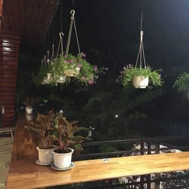 Tổng hợp- Panni Coffee