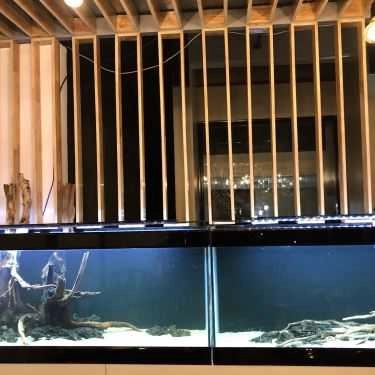 Tổng hợp- Papillon Cafe