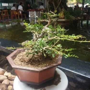 Tổng hợp- Passion Cafe