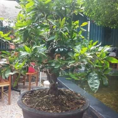 Tổng hợp- Passion Cafe