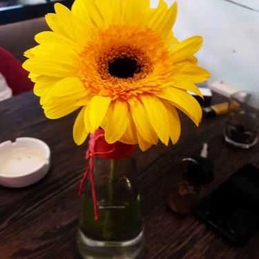 Tổng hợp- Phan Cafe
