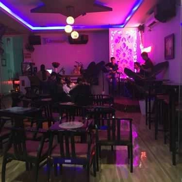 Tổng hợp- Cafe Phòng Trà Flamingo