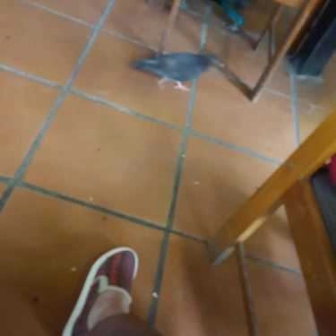 Tổng hợp- Cafe Phòng Trà Mục Đồng