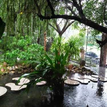 Tổng hợp- Cafe Phòng Trà Mục Đồng