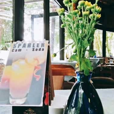 Tổng hợp- Cafe Phòng Trà Mục Đồng