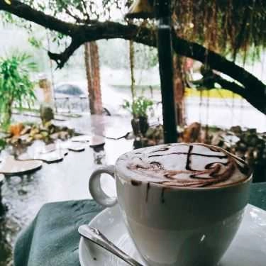 Tổng hợp- Cafe Phòng Trà Mục Đồng