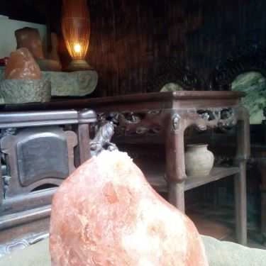 Tổng hợp- Cafe Phúc Tam Quán