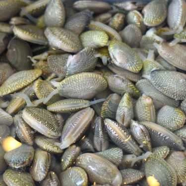 Tổng hợp- Nhà Hàng Rô Beer - Lẩu Tiến Vua & Hải Sản Tươi Sống