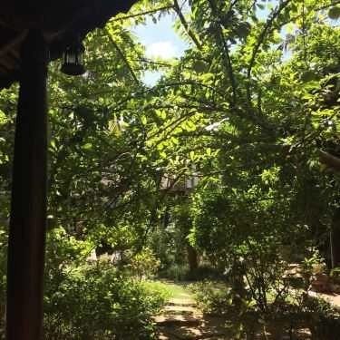Tổng hợp- Nhà Hàng Sân Mây - Món Chay