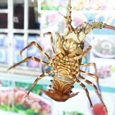 Tổng hợp- Sao Băng - Nhà Hàng Hải Sản
