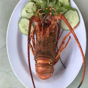 Tổng hợp- Sao Băng - Nhà Hàng Hải Sản