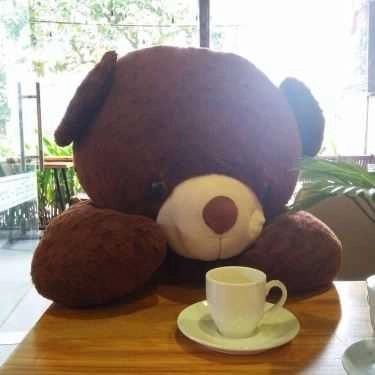 Tổng hợp- Share Cafe