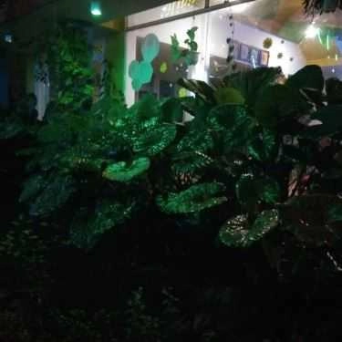 Tổng hợp- Suối Mơ Cafe