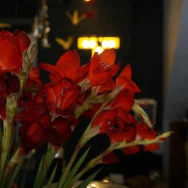 Tổng hợp- T' House Coffee