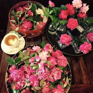 Tổng hợp- T & N Coffee