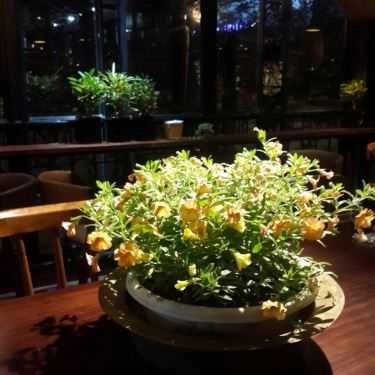 Tổng hợp- Ta Cafe & Bakery
