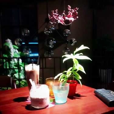 Tổng hợp- Ta Cafe & Bakery