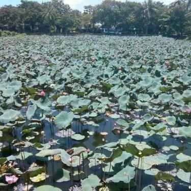 Tổng hợp- Nhà Hàng Tân Hương Sen