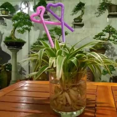 Tổng hợp- Thềm Xưa Cafe