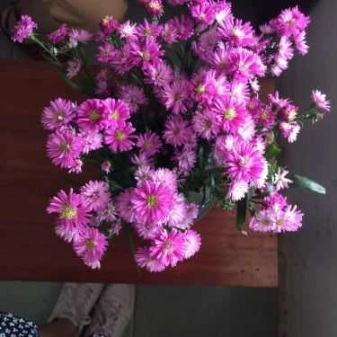 Tổng hợp- Then Cafe