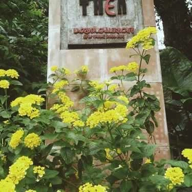 Tổng hợp- Then Cafe