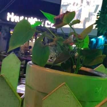 Tổng hợp- Thư Viên Cafe