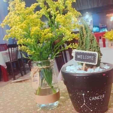 Tổng hợp- Thương Cà Phê
