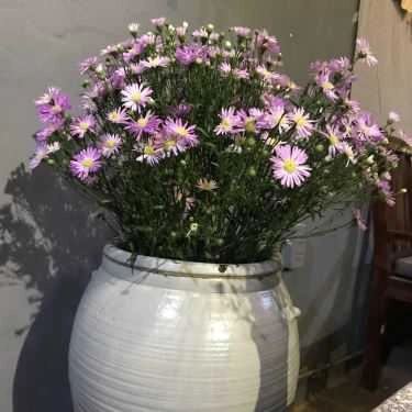 Tổng hợp- Thương Cà Phê