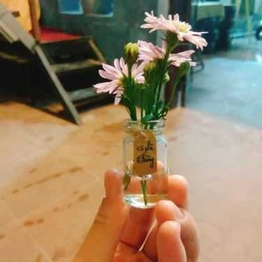 Tổng hợp- Thương Cà Phê